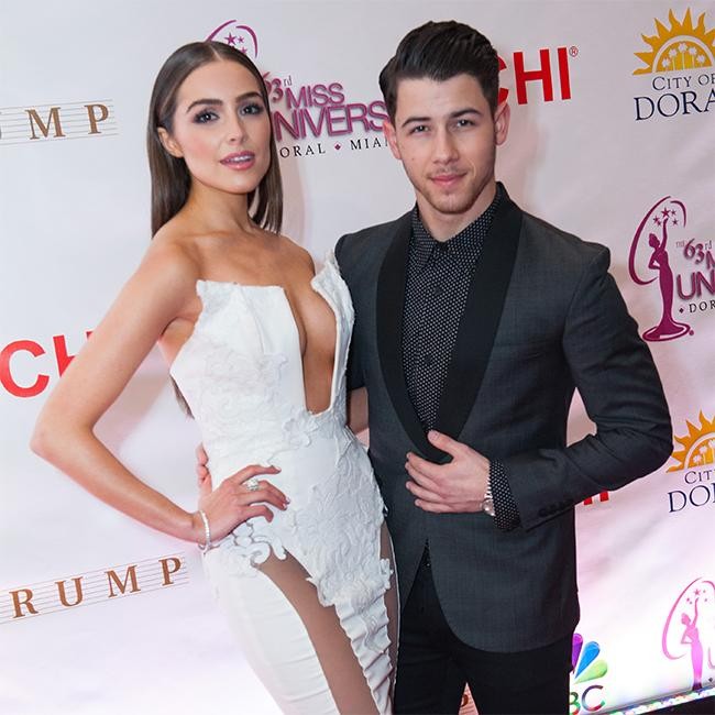 Nick Jonas Girlfriend Olivia Culpo Stuns